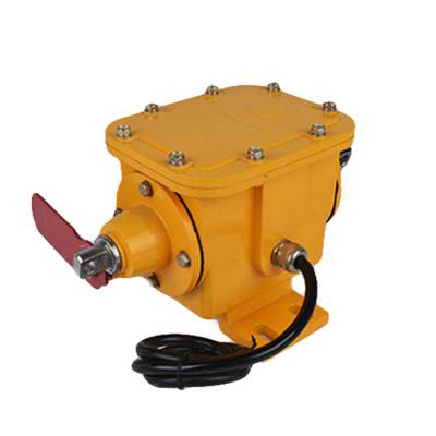 250V縱向撕裂檢測器8LS3-J、380V3A縱向撕裂開關DB-100生產(chǎn)廠家